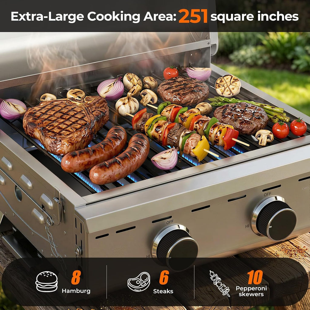 2‑Burner Portable Tabletop Propane Gas Grill