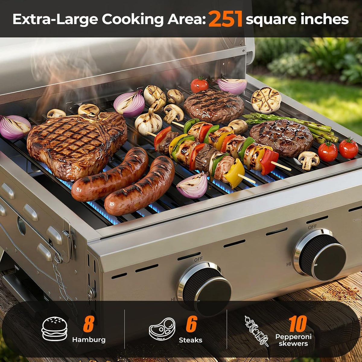 2‑Burner Portable Tabletop Propane Gas Grill