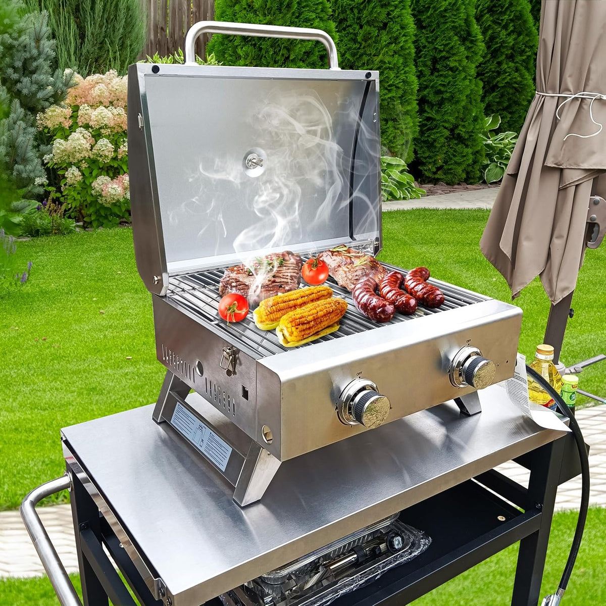 2‑Burner Tabletop Portable Propane Gas Grill
