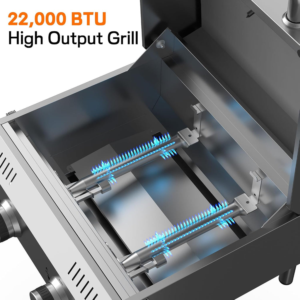 2‑Burner Tabletop Propane Gas Grill